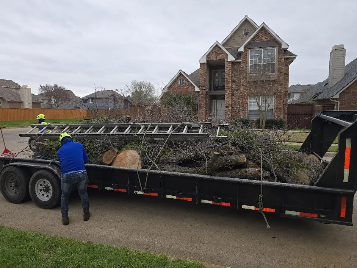 Expert Tree Pest Control with proper safety equipment in Brackettville